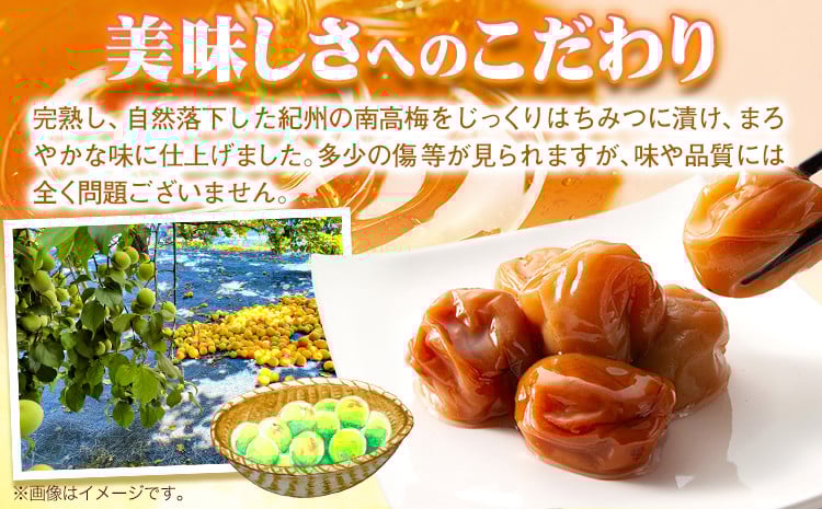 蜊鈴ォ俶「 縺ッ縺。縺ソ縺、 譴 繧上¢縺ゅj 邏蟾槫漉鬮俶「 縺ッ縺。縺ソ縺、譴 2.6kg 譛蛾剞莨夂、セ繝励Λ繝縲30譌・莉・蜀縺ォ蜃コ闕キ莠亥ョ(蝨滓律逾晞勁縺)縲句柱豁悟アア逵 譌・鬮倡伴 騾∵侭辟。譁 譴 縺繧 繧ヲ繝。 蜊鈴ォ俶「 陷り惧 邏蟾 險ウ縺ゅj 騾∵侭辟。譁