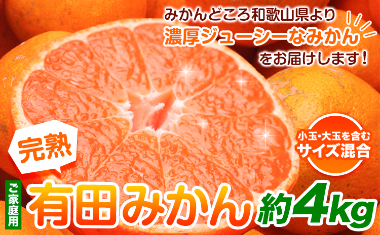 家庭用 完熟 有田みかん 4kg+120g （傷み補償分）【光センサー選果】池田鹿蔵農園@日高町（池田農園株式会社）《11月中旬-1月末頃出荷》和歌山県 日高町 訳あり わけあり みかん【配送不可地域あり】