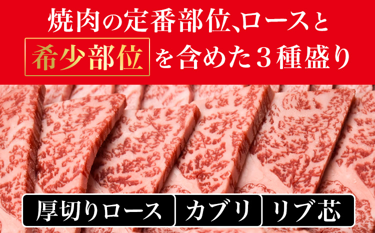 和歌山産 高級和牛 熊野牛 ロース盛合せ焼肉 約500g エバグリーン《30日以内に出荷予定(土日祝除く)》 和歌山県 日高町 牛 うし 牛肉 熊野牛 和牛 高級