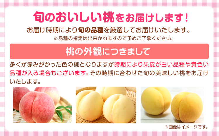 ＜先行予約＞和歌山県産 旬 の 桃 5～6玉入り 秀品 株式会社松源《2025年6月下旬-8月中旬より発送予定》和歌山県 日高町 果物 フルーツ 桃 もも 送料無料