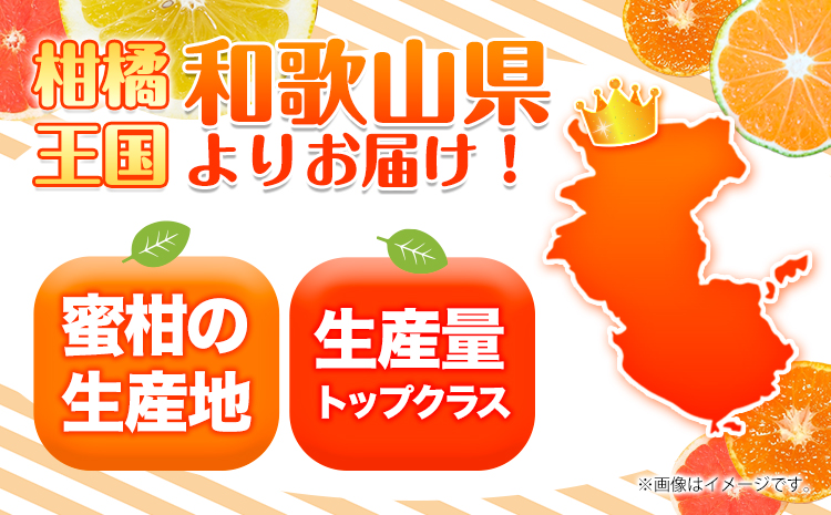 ＜先行予約＞紀州有田産ブラッドオレンジ 約3kg 【ご家庭用】 魚鶴商店《2025年4月上旬-4月中旬頃出荷》 和歌山県 日高町 紀州有田産 オレンジ みかん ご家庭用