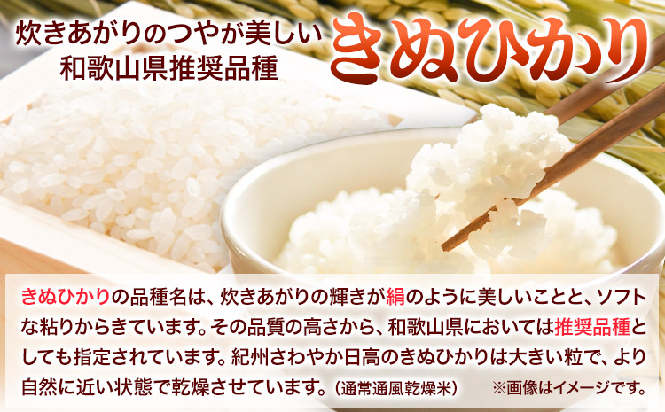 令和5年産 粒より米 きぬひかり 5kg  JA紀州 さわやか日高《90日以内に出荷予定(土日祝除く)》 和歌山県 日高町 米 こめ コメ きぬひかり キヌヒカリ 送料無料 精米