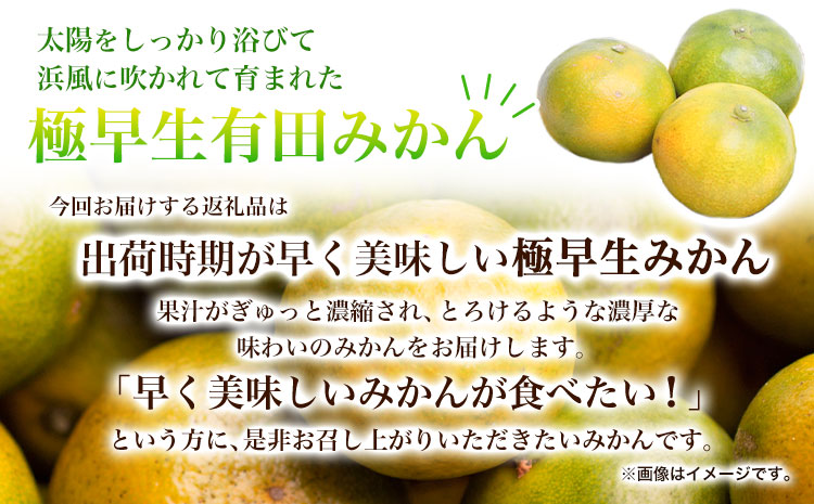 ＜先行予約＞厳選　極早生有田みかん5kg+150g（傷み補償分）【YN26・ゆら早生】 池田鹿蔵農園@日高町（池田農園株式会社）《9月中旬-11月中旬頃出荷》和歌山県 日高町