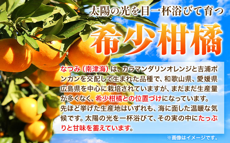希少柑橘 和歌山産なつみ約5kg S 2lサイズおまかせ 厳選館 4月上旬 5月上旬より順次出荷 和歌山県 日高町 みかん なつみ 南津海 柑橘 果物 フルーツ 送料無料 Jalふるさと納税 Jalのマイルがたまるふるさと納税サイト