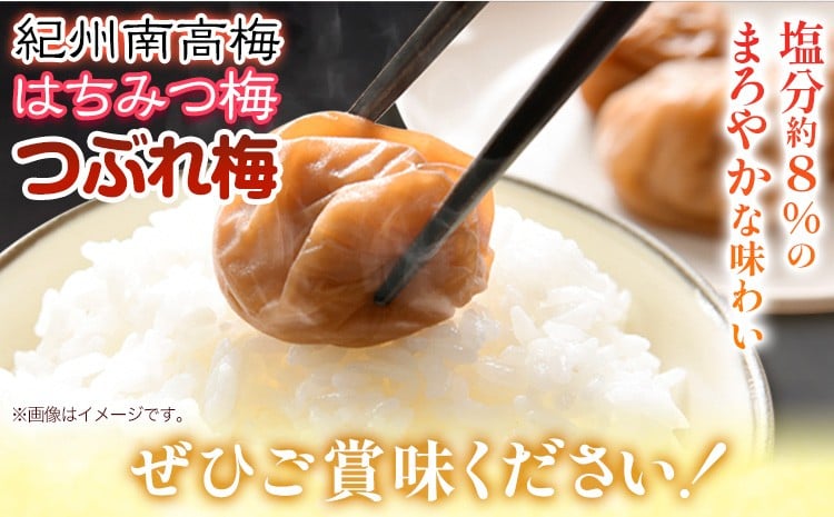 《加工食品カテゴリ上位ランクイン！》南高梅 はちみつ 梅 紀州南高梅 つぶれ 梅干し 2kg 有限会社プラム《30日以内に出荷予定(土日祝除く)》和歌山県 日高町 送料無料 梅 うめ ウメ 南高梅 つぶれ梅 蜂蜜 紀州 梅干し訳あり梅干しつぶれ梅干しはちみつ梅干しウメボシ梅干し訳あり梅干し紀州梅干し蜂蜜梅干し