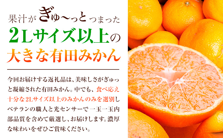 家庭用 おっきな有田みかん 約1kg ＋250g （ 傷み補償分 ）【わけあり・訳あり】【光センサー選果】 池田鹿蔵農園@日高町（池田農園株式会社）《11月中旬-1月下旬頃出荷》日高町【配送不可地域あり】