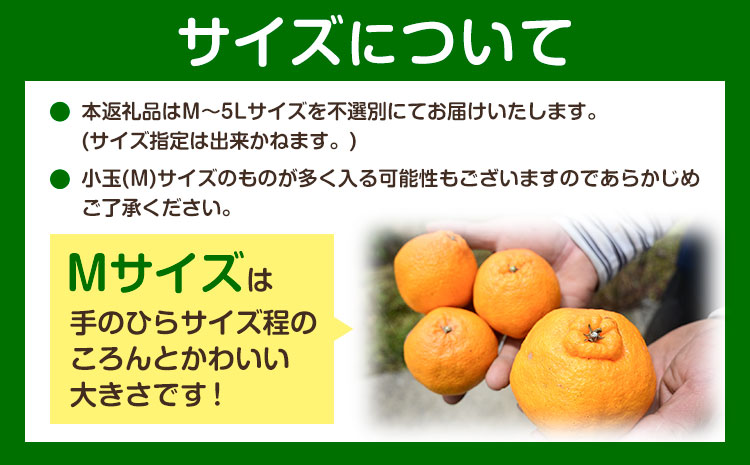 訳あり 不知火 ( デコポンと同品種 ) しらぬい 約5kg (M～5Lサイズ) どの坂果樹園《2027年2月上旬-4月上旬頃出荷》 和歌山県 日高町 しらぬい でこぽん 旬 果物 フルーツ 柑橘 訳あり不知火 訳ありデコポン 訳ありしらぬい 送料無料