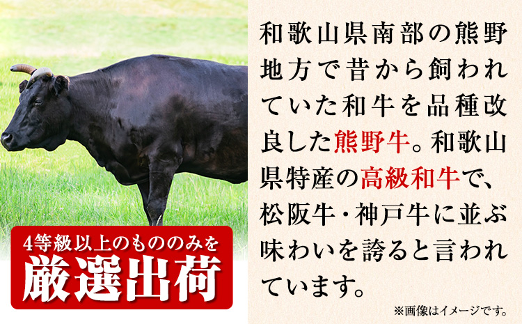 熊野牛 A4 以上 霜降り 赤身 こま切れ 500g 株式会社魚鶴商店《30日以内に出荷予定(土日祝除く)》 和歌山県 日高町 熊野牛 黒毛和牛 A4等級以上 赤身 こま切れ 牛肉 肉 