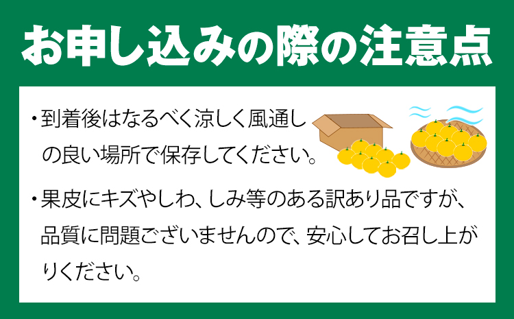 ＜先行予約＞紀州有田産ブラッドオレンジ 約3kg 【ご家庭用】 魚鶴商店《2025年4月上旬-4月中旬頃出荷》 和歌山県 日高町 紀州有田産 オレンジ みかん ご家庭用