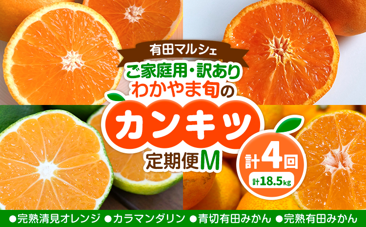 ご家庭用・訳あり わかやま旬のカンキツ定期便【M】 全4回 合計18.5kg 有田マルシェ《発送月固定・全4回出荷》和歌山県 日高町 フルーツ 果物 柑橘 ご家庭用 訳あり 有田みかん 清見オレンジ カラマンダリン 完熟 青切