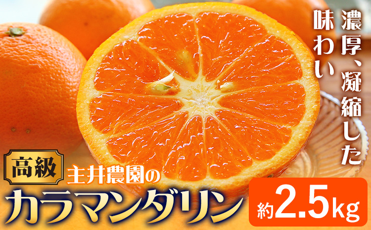 高級カラマンダリン約2.5kg 主井農園《4月上旬-5月中旬頃出荷》 和歌山県 日高町 カラマンダリン みかん 高級 果物 送料無料