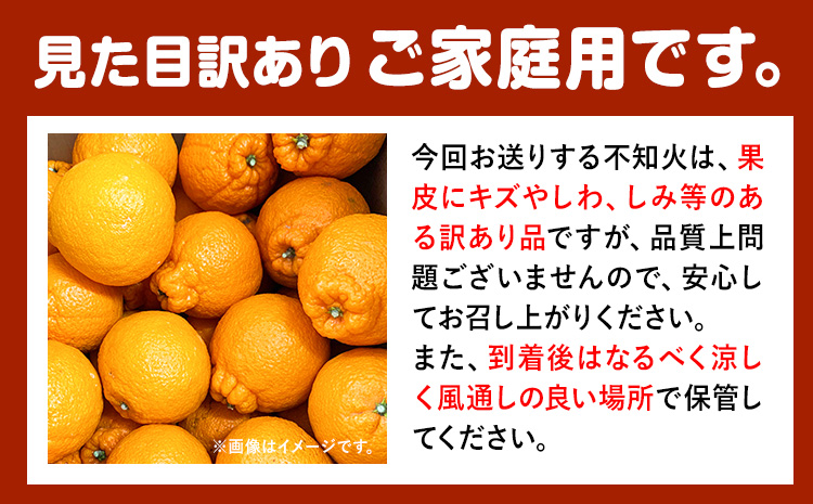 【先行予約】【ご家庭用】紀州有田産不知火(しらぬひ) 約8.5kg 株式会社魚鶴商店《2025年2月上旬-3月下旬頃出荷》 和歌山県 日高町 不知火 しらぬい 柑橘 ご家庭用