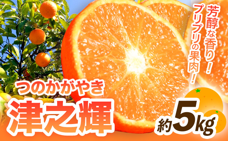 【先行予約】津之輝(つのかがやき)　約5kg  株式会社魚鶴商店《2025年2月上旬-2月末頃出荷予定》 和歌山県 日高町  柑橘 フルーツ