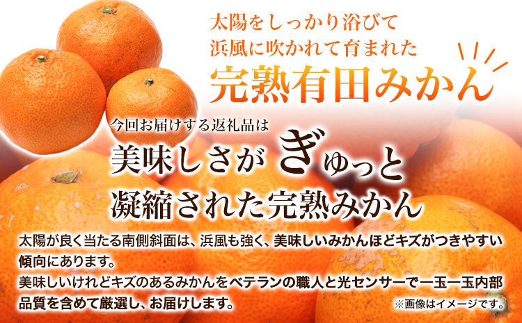 ＜先行予約＞家庭用 完熟 有田 みかん 5kg+150g（傷み補償分）【わけあり・訳あり】【光センサー選果】 池田鹿蔵農園@日高町（池田農園株式会社）《11月中旬-1月末頃出荷》和歌山県 日高町【配送不可地域あり】みかん 有田みかん