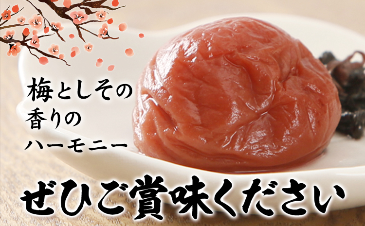 梅干し 甘口しそ梅干し 1kg 中玉 2L 和歌山県産 株式会社とち亀物産 《30日以内に出荷予定(土日祝除く)》 和歌山県 日高町 梅 うめ しそ 梅干し うめぼし 紀州南高梅  漬物 漬け物 ごはんのお供