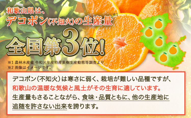 【お味濃厚】紀州有田産のデコポン約5kg(18玉〜24玉入り・青秀以上) 厳選館 《2025年1月下旬頃-4月上旬頃出荷》和歌山県 日高町