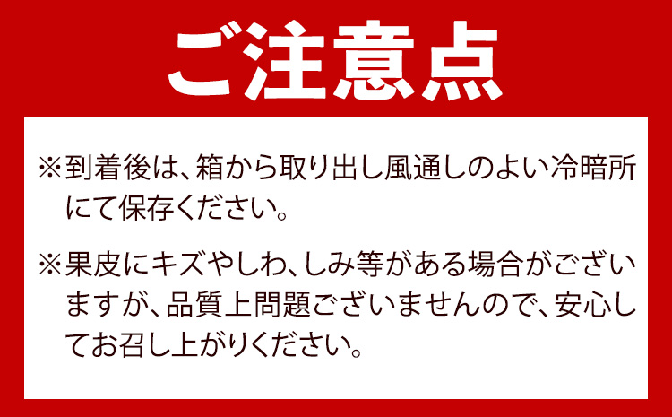 【先行予約】果肉ぷりぷり！ 完熟はるみ 約5kg 株式会社魚鶴商店 《2025年2月上旬-2月末頃出荷予定》 和歌山県 日高町 はるみ みかん ミカン 蜜柑 フルーツ 柑橘