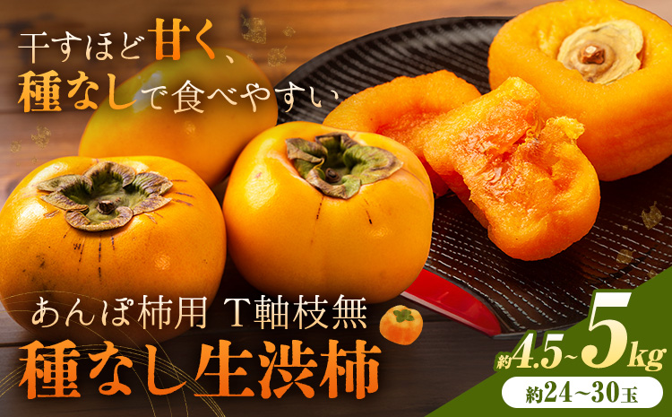 柿 かき あんぽ柿用 T軸枝無 種なし 生渋柿 4.5~5kg ふるさと農園《2026年10月中旬-11月上旬頃より発送予定(土日祝除く)》 和歌山県 日高町 贈り物 ギフト