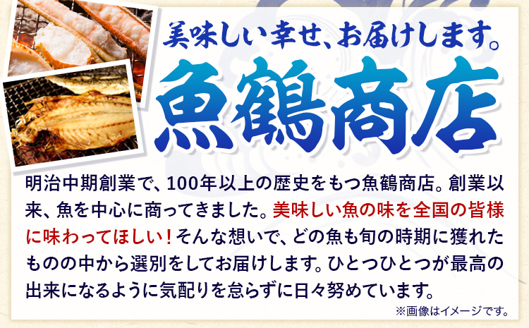 和歌山魚鶴仕込の魚切身詰め合わせセット(3種8枚)×2セット 計16枚 株式