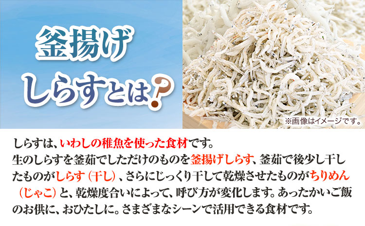 冷凍 釜揚げ しらす 300g 大五海産《60日以内に出荷予定(土日祝除く)》  和歌山県 日高町 釜揚げ しらす かまあげしらす かまあげ シラス 釜揚げシラス 海産物 海鮮 海鮮丼 丼 シラス丼 しらす丼