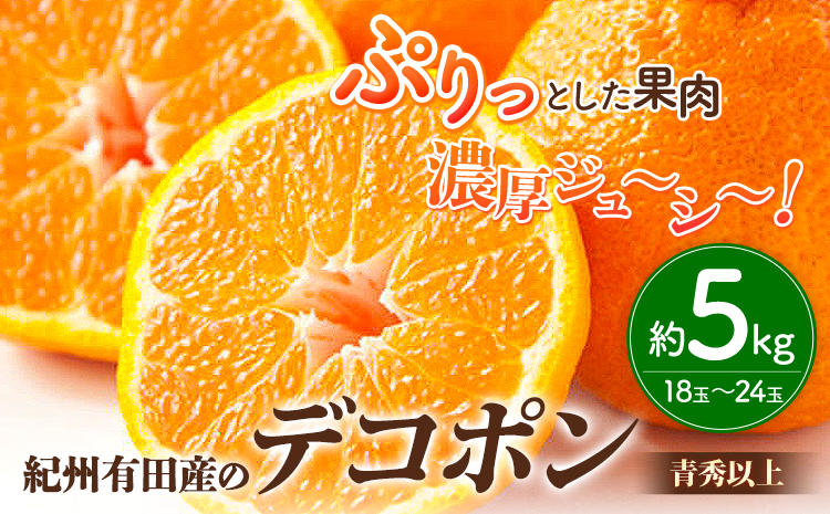 【お味濃厚】紀州有田産のデコポン約5kg(18玉〜24玉入り・青秀以上) 厳選館 《2025年1月下旬頃-4月上旬頃出荷》和歌山県 日高町