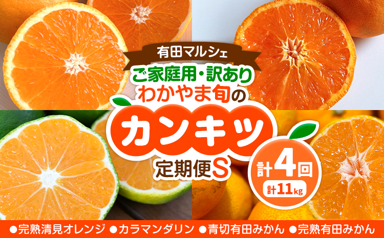 ご家庭用・訳あり わかやま旬のカンキツ定期便【S】 全4回 合計11kg 有田マルシェ《発送月固定・全4回出荷》和歌山県 日高町 フルーツ 果物 柑橘 ご家庭用 訳あり 有田みかん 清見オレンジ カラマンダリン 完熟 青切