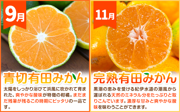 ご家庭用・訳あり わかやま旬のカンキツ定期便【S】 全4回 合計11kg 有田マルシェ《発送月固定・全4回出荷》和歌山県 日高町 フルーツ 果物 柑橘 ご家庭用 訳あり 有田みかん 清見オレンジ カラマンダリン 完熟 青切