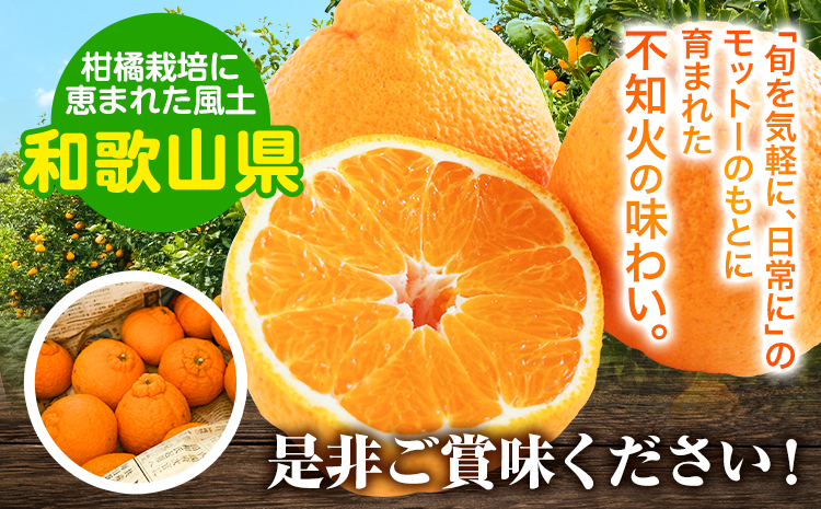 露地栽培の甘い 不知火 (デコ) 6玉 約1.5kg きよ農園《2025年2月中旬-3月末頃出荷(土日祝除く)》和歌山県 日高町 柑橘 不知火 しらぬい デコポン と同品種 フルーツ 果物 スイーツくだもの