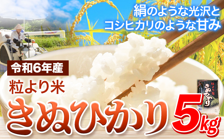 令和6年産 粒より米 きぬひかり 5kg  JA紀州 さわやか日高《90日以内に出荷予定(土日祝除く)》 和歌山県 日高町 米 こめ コメ きぬひかり キヌヒカリ 送料無料 精米