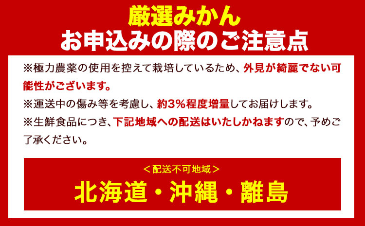 ＜先行予約＞厳選　小玉な有田みかん5kg+150g（傷み補償分）【光センサー選果】池田鹿蔵農園@日高町（池田農園株式会社）《11月上旬-12月末頃出荷》和歌山県 日高町【配送不可地域あり】