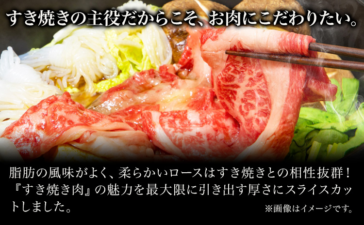 和歌山産 高級和牛 熊野牛 ロースすき焼き用 約700g エバグリーン《30日以内に出荷予定(土日祝除く)》 和歌山県 日高町 熊野牛 牛 うし 牛肉 熊野牛 和牛 高級