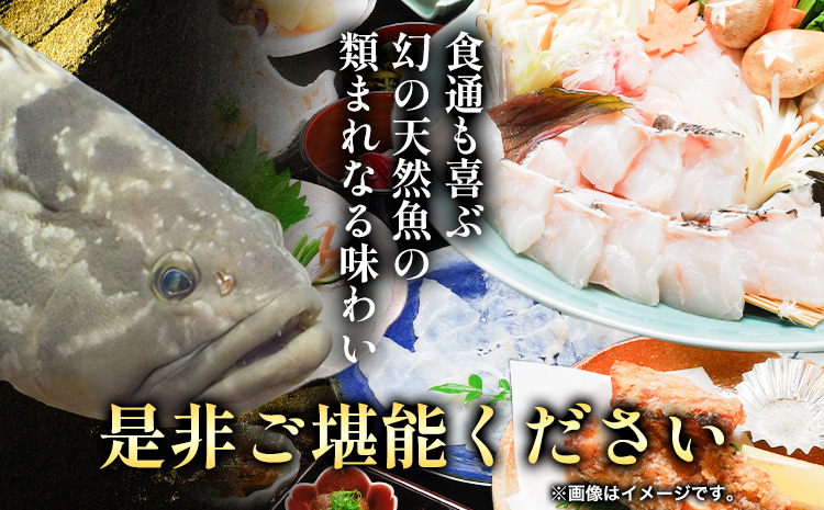 本場で味わう贅沢なひととき「紀州日高のクエ」の宿　クエフルコース付ペア宿泊券 日高町役場《30日以内に出荷予定(土日祝除く)》 和歌山県 日高町 クエ クエフルコース 宿泊券 1泊2食付き 2名  送料無料