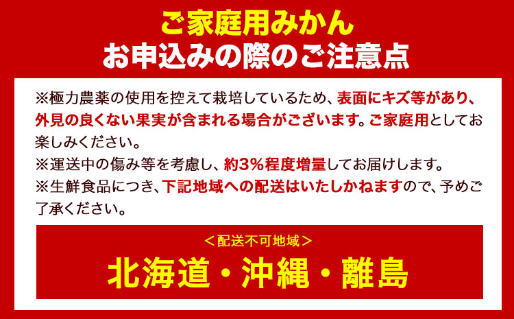 ＜先行予約＞家庭用　小玉な有田みかん4.5kg+135g（傷み補償分）【わけあり・訳あり】【光センサー選果】池田鹿蔵農園@日高町（池田農園株式会社）《11月上旬-12月末頃出荷》和歌山県 日高町【配送不可地域あり】