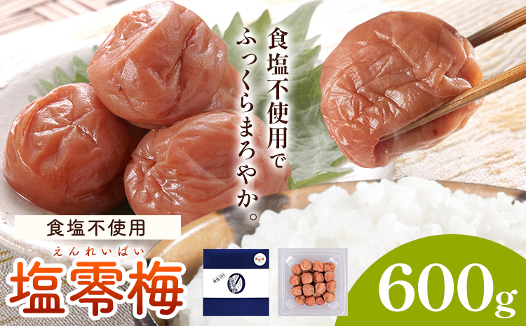 塩零梅 梅干し 紀州南高梅 食塩不使用 有限会社プラム 600g 《30日以内に出荷予定(土日祝除く)》和歌山県 日高町 送料無料 梅 うめ ウメ 南高梅 紀州
