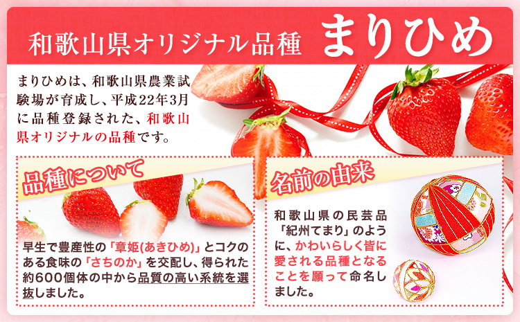 【先行予約】いちご 和歌山県産 紀州和歌山 ブランド いちご まりひめ 計1kg 250g×4パック 株式会社魚鶴商店 《1月上旬-2月下旬頃出荷》 和歌山県 日高町 フルーツ 果物 スイーツ 甘い