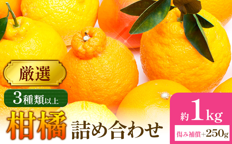 【先行予約】厳選 柑橘詰合せ 約1kg＋250g (傷み補償分) 3種類以上 有田の春みかん詰め合わせ 光センサー選別 池田鹿蔵農園 《2026年1月上旬-4月末頃出荷》 和歌山県 日高町 【配送不可地域あり】