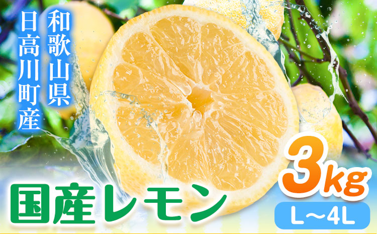 レモン 国産 レモン 3kg(L～4Lサイズ) ノーワックス 減農薬 どの坂果樹園《2024年2月上旬-5月末頃出荷》 和歌山県 日高町 レモン れもん 檸檬 旬 果物 フルーツ 柑橘 産地直送 送料無料