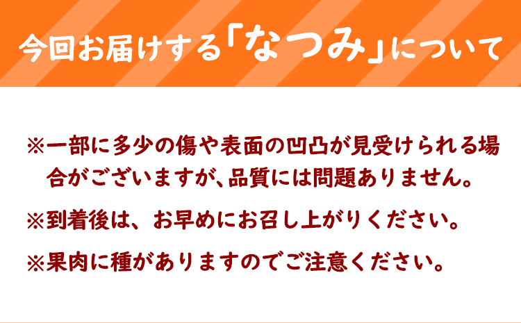 ＜先行予約＞初夏 の みかん なつみ 約 3kg 株式会社魚鶴商店《2025年4中旬-5上旬頃出荷》 和歌山県 日高町 みかん なつみ 南津海 柑橘 果物 フルーツ 送料無料