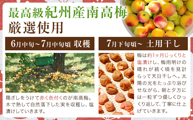 紀州南高梅 つぶれ梅 はちみつ漬 塩分8％ 1パック400g×3パック 株式会社味季屋《30日以内に出荷予定(土日祝除く)》和歌山県 日高町 梅 梅干し 南高梅 はちみつ梅