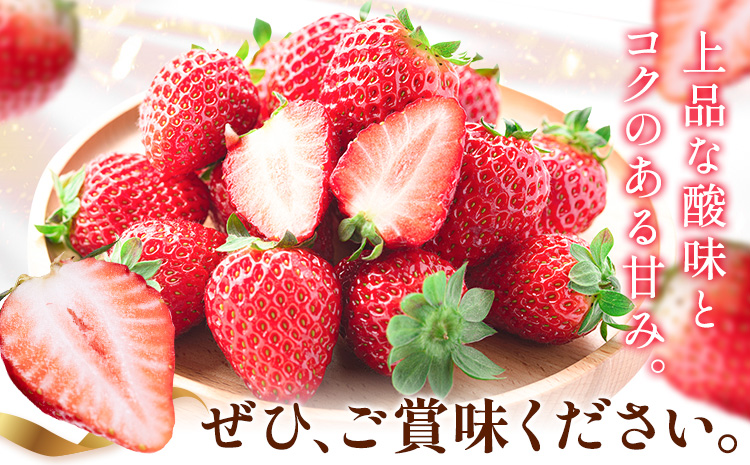 【先行予約】いちご 和歌山県産 紀州和歌山 ブランド いちご まりひめ 2パック 560g 株式会社魚鶴商店 《1月上旬-2月下旬頃出荷》 和歌山県 日高町 フルーツ 果物 スイーツ 甘い
