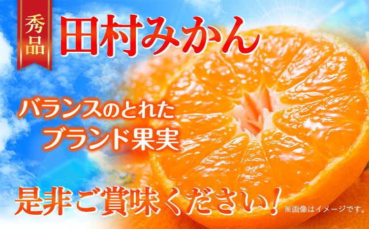 【先行予約】田村みかん 秀品 4kg(サイズおまかせ)とち亀物産 紀伊国屋文左衛門本舗《11月下旬-1月中旬頃出荷予定》和歌山県 日高町 田村みかん 有田みかん みかん 果物 フルーツ ブランド果実