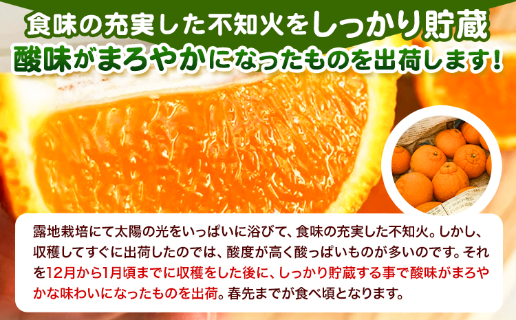 露地栽培の甘い 不知火 (デコ) 6玉 約1.5kg きよ農園《2025年2月中旬-3月末頃出荷(土日祝除く)》和歌山県 日高町 柑橘 不知火 しらぬい デコポン と同品種 フルーツ 果物 スイーツくだもの