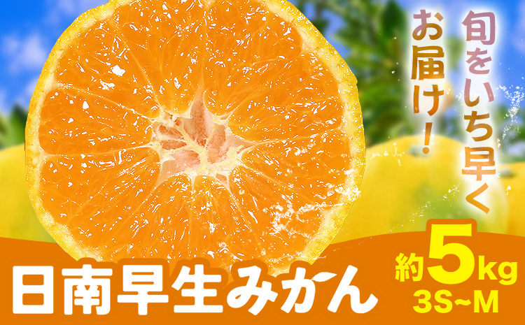 みかん 日南早生みかん 早生 みかん 約5kg 3S-Mサイズ どの坂果樹園《10月上旬-10月下旬頃出荷》和歌山県 日高町 産地直送 柑橘類 みかん 旬 フルーツ 果物 柑橘 送料無料
