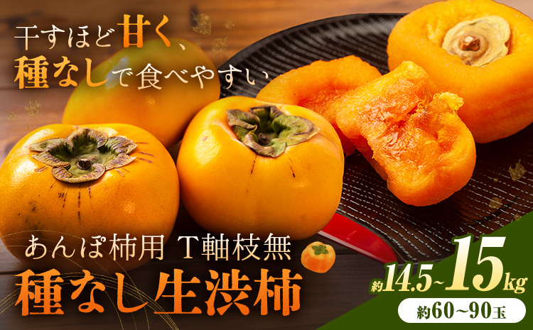 柿 かき あんぽ柿用 T軸枝無 種なし 生渋柿 14.5~15kg ふるさと農園《2026年10月中旬-11月上旬頃より発送予定(土日祝除く)》 和歌山県 日高町 贈り物 ギフト
