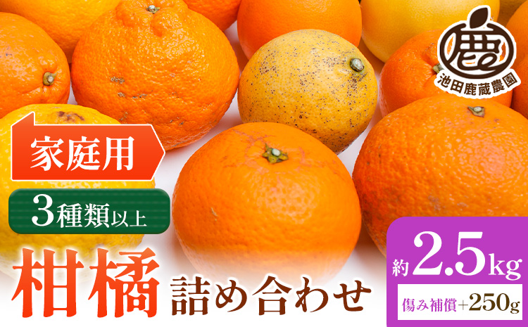 【先行予約】家庭用 柑橘詰合せ 約2.5kg＋250g (傷み補償分) 3種類以上 有田の春みかん詰め合わせ 光センサー選別 池田鹿蔵農園 《2026年1月上旬-4月末頃出荷》 和歌山県 日高町 【配送不可地域あり】