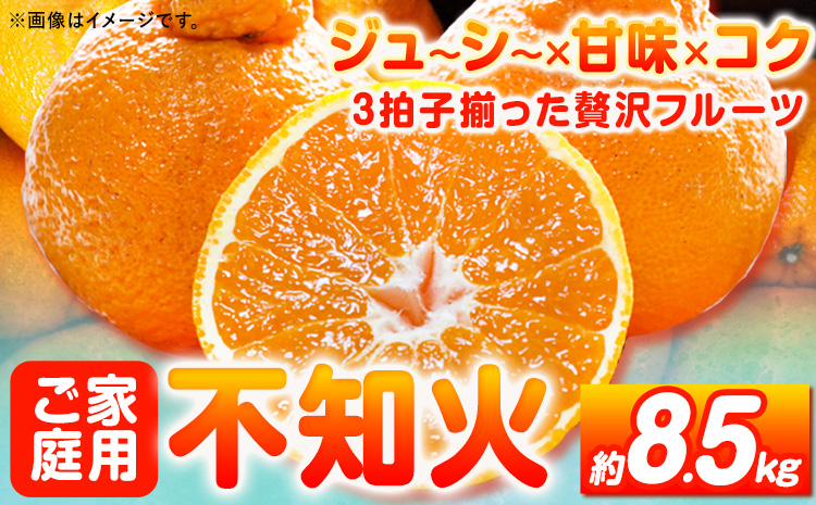 【先行予約】【ご家庭用】紀州有田産不知火(しらぬひ) 約8.5kg 株式会社魚鶴商店《2025年2月上旬-3月下旬頃出荷》 和歌山県 日高町 不知火 しらぬい 柑橘 ご家庭用