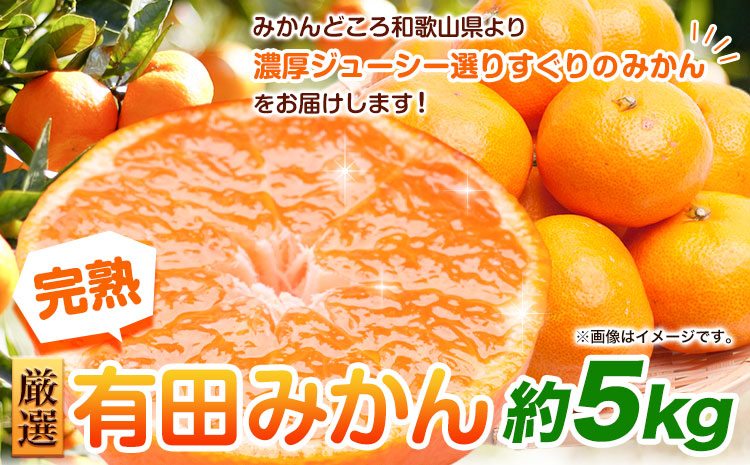 ＜先行予約＞厳選　完熟有田みかん5kg+150g（傷み補償分）【光センサー選果】 池田鹿蔵農園@日高町（池田農園株式会社）《11月中旬-1月末頃出荷》和歌山県 日高町【離島配送不可】