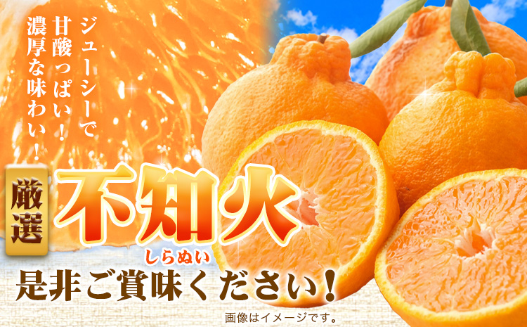 å³éž äžç¥ç«5kg+250gïŒå·ã¿è£ååïŒããã³ãã³ãšååçš®ã»äººæ°ã®æ¥ã¿ããããå
ã»ã³ãµãŒã§é£ã¹é åºè·ã æ± ç°é¹¿èµèŸ²å@æ¥é«çºïŒæ± ç°èŸ²åæ ªåŒäŒç€ŸïŒã2æäžæ¬-3ææ«é åºè·ãåæå±±ç æ¥é«çºãé
éäžå¯å°åããã