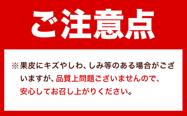 紀州和歌山有田産 ゆら早生みかん 約5kg 株式会社魚鶴商店《2025年10月上旬-11月上旬頃出荷》 和歌山県 日高町 みかん 早生 柑橘