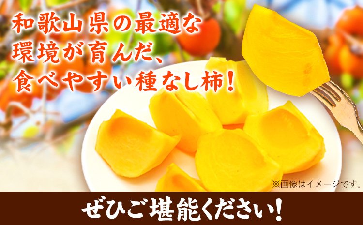 【先行予約】【秋の味覚】和歌山産のたねなし柿2L〜4Lサイズ約4kg（化粧箱入り）《10月上旬-11月下旬頃出荷予定》 和歌山県 日高町 かき 種なし